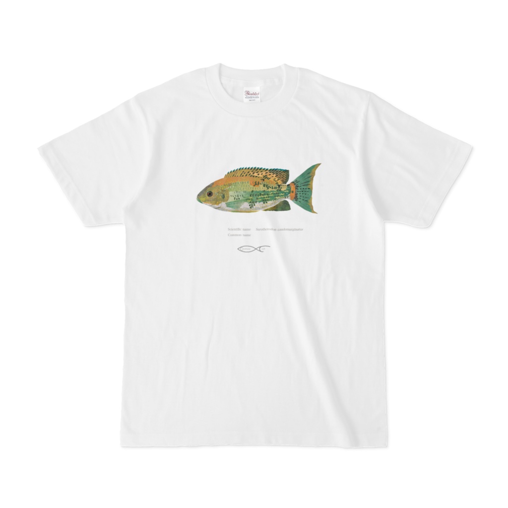 Sarotherodon caudomarginatus T-shirt