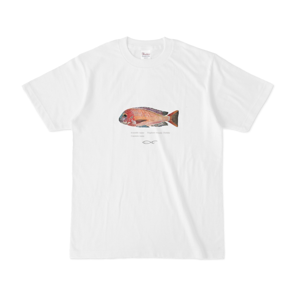 Tropheus moorii, Chaitika T-shirt