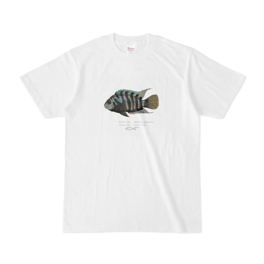 Amatitlania nigrofasciata(Convict Cichlid) T-shirt