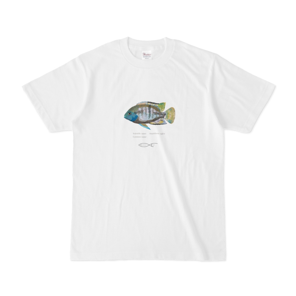 Amatitlania sajica T-shirt