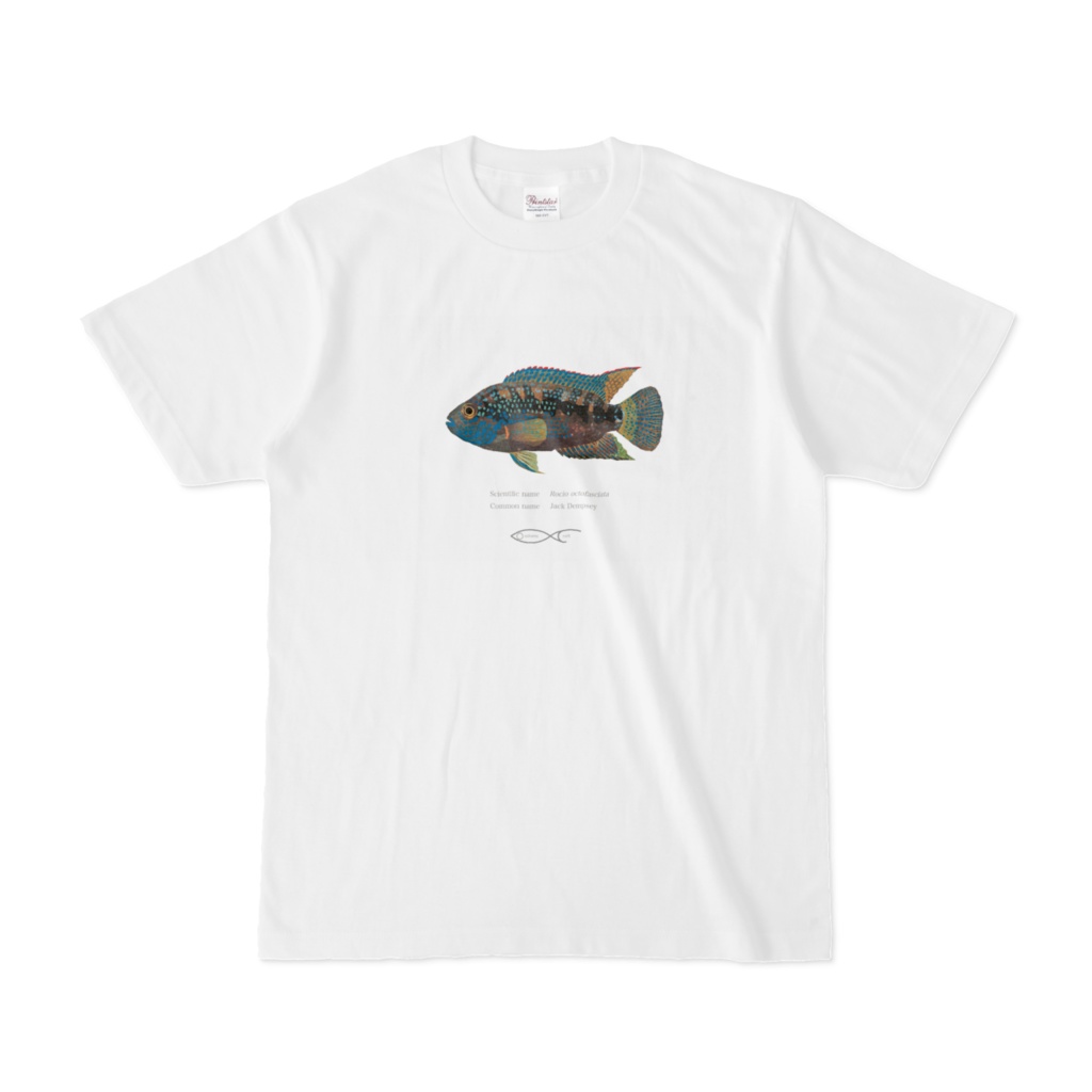 Rocio octofasciata（Jack Dempsey）T-shirt