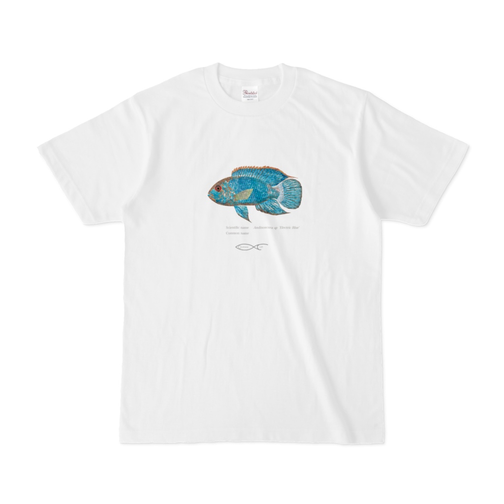 T-shirt Cichlid South American Andinoacara sp  'Electric Blue'