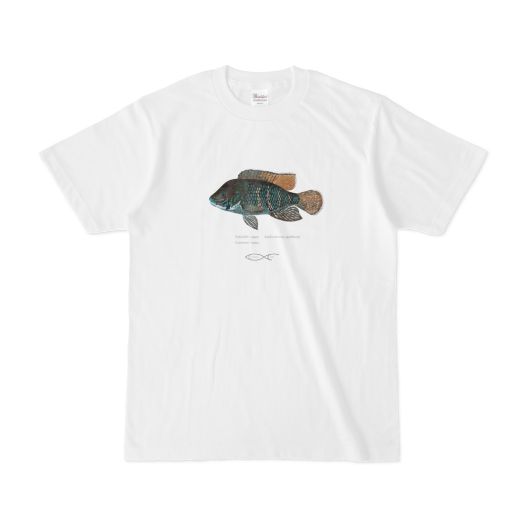 T-shirt Cichlid South American Andinoacara stalbergi