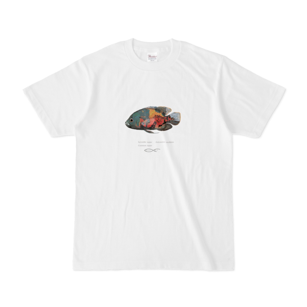 T-shirt Cichlid South American Astronotus ocellatus