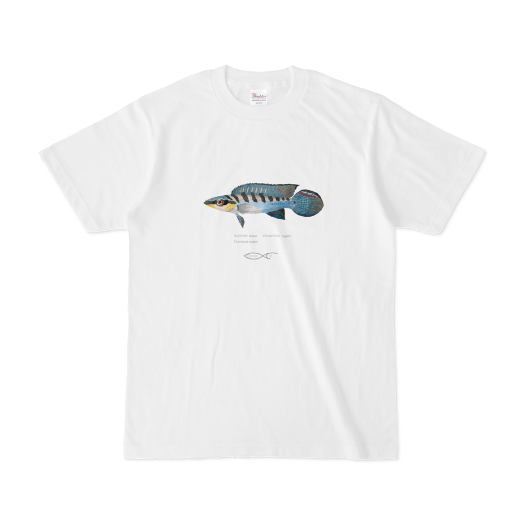 T-shirt Cichlid South American Crenicichla regani