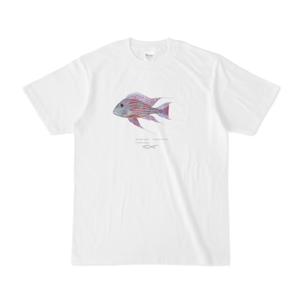 T-shirt Cichlid South American Geophagus sveni