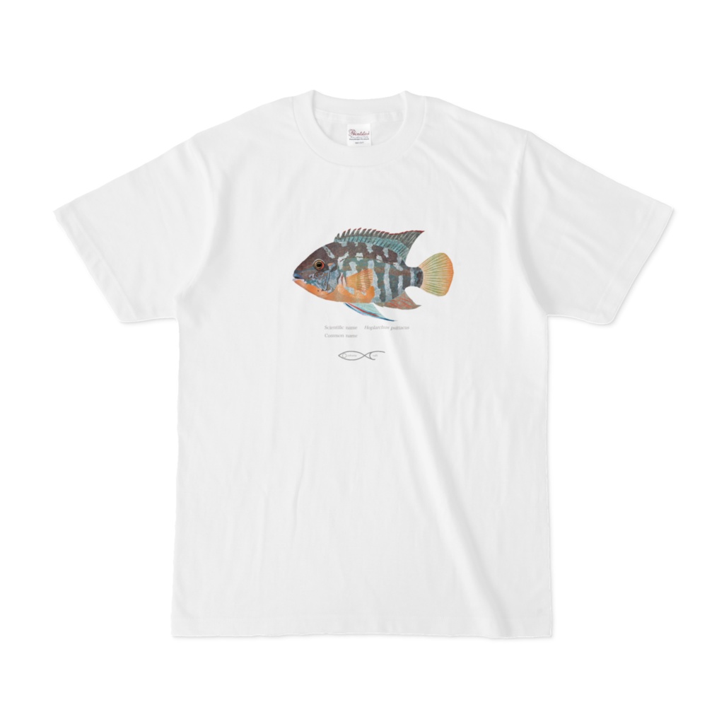 T-shirt Cichlid South American Hoplarchus psittacus