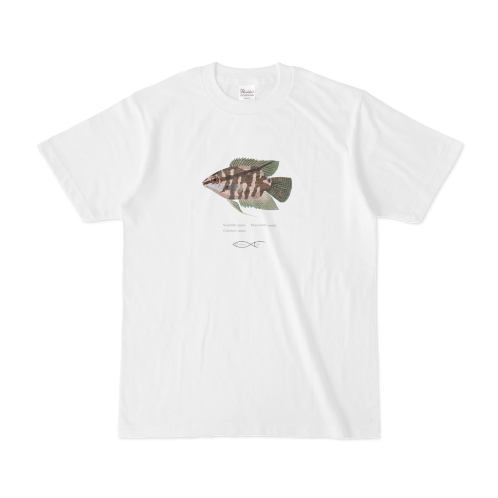 T-shirt Cichlid South American Mesonauta acora