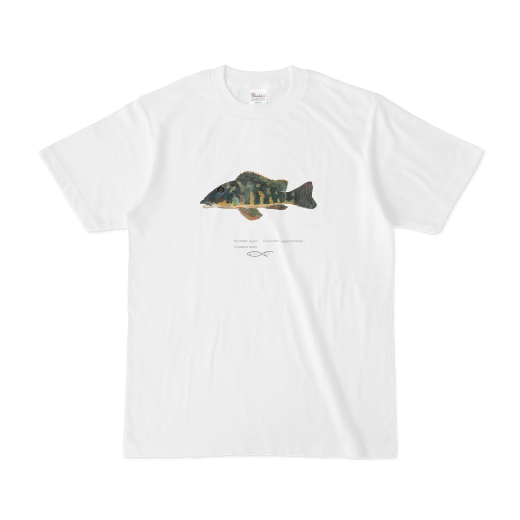 T-shirt Cichlid South American Retroculus septentrionalis