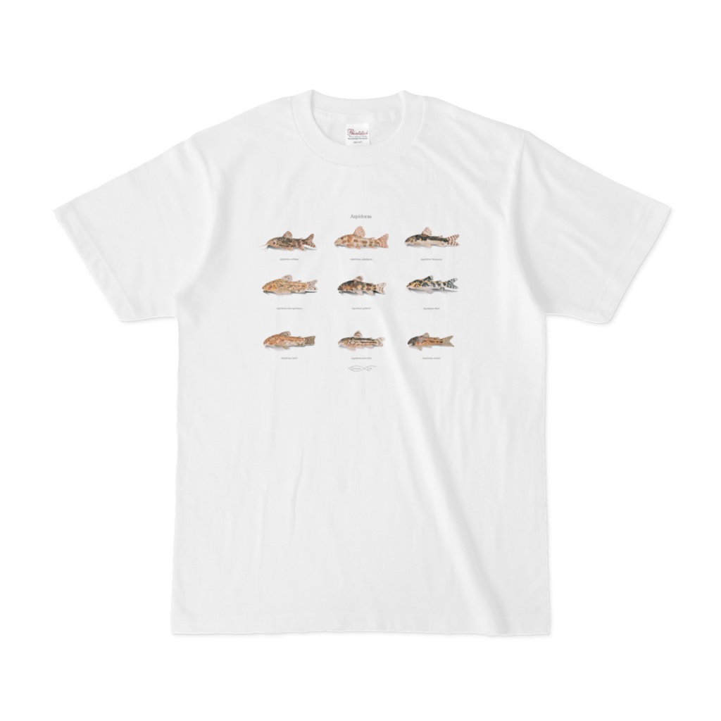 T-shirt Corydoradinae Aspidoras