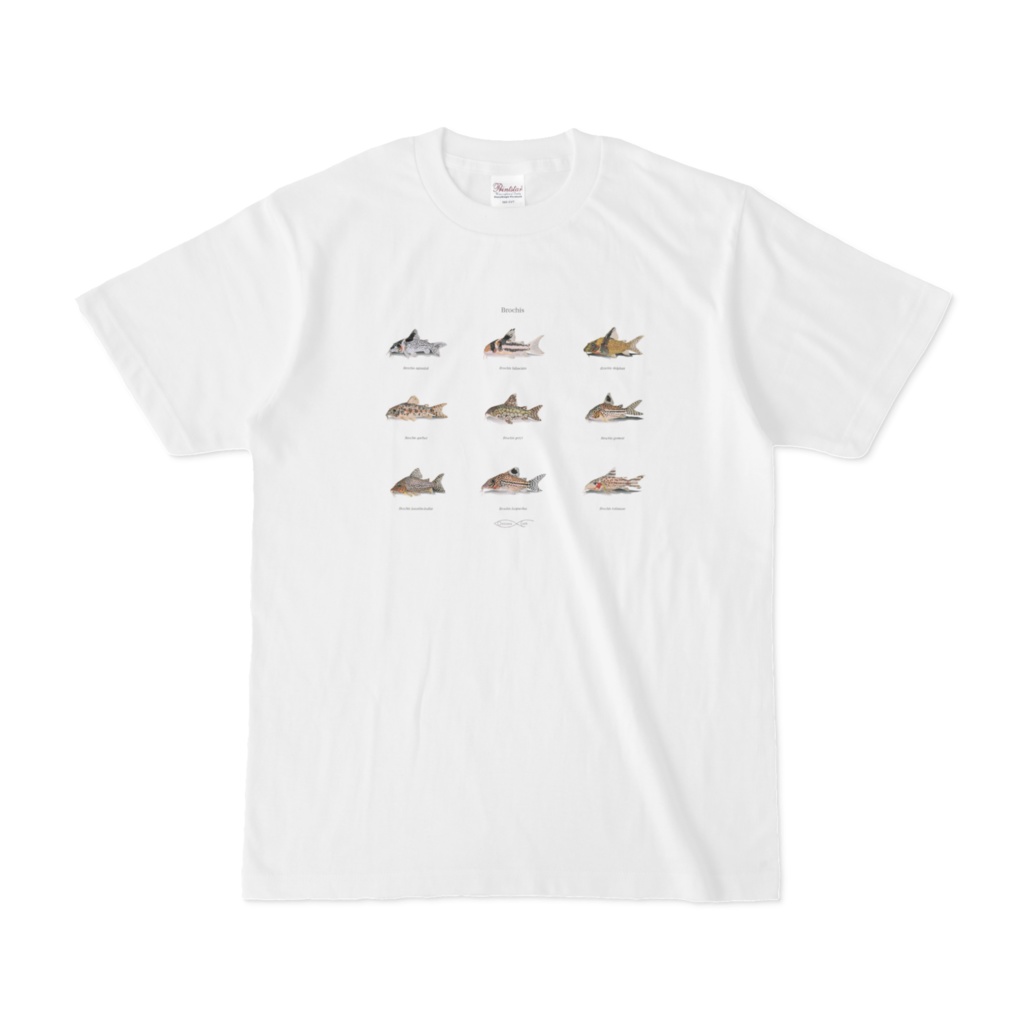 T-shirt Corydoradinae Brochis