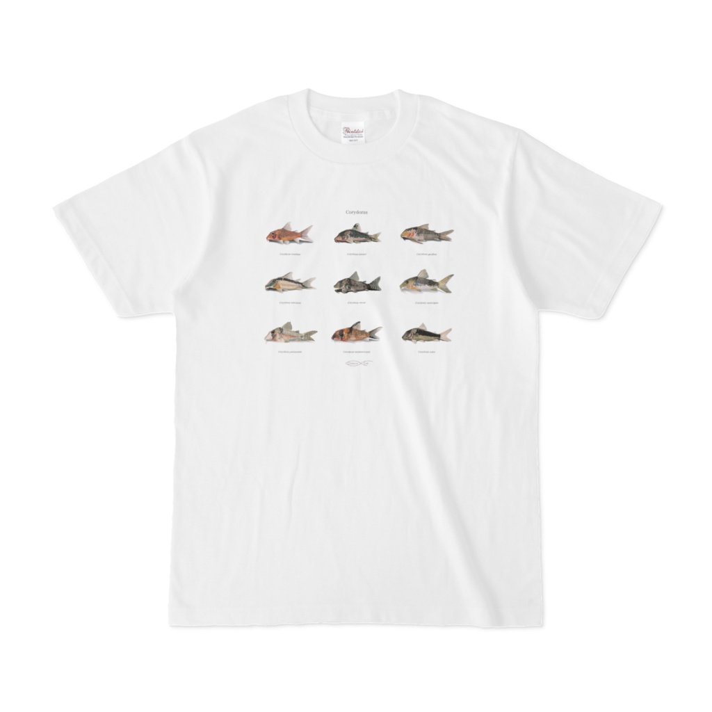 T-shirt Corydoradinae Corydoras