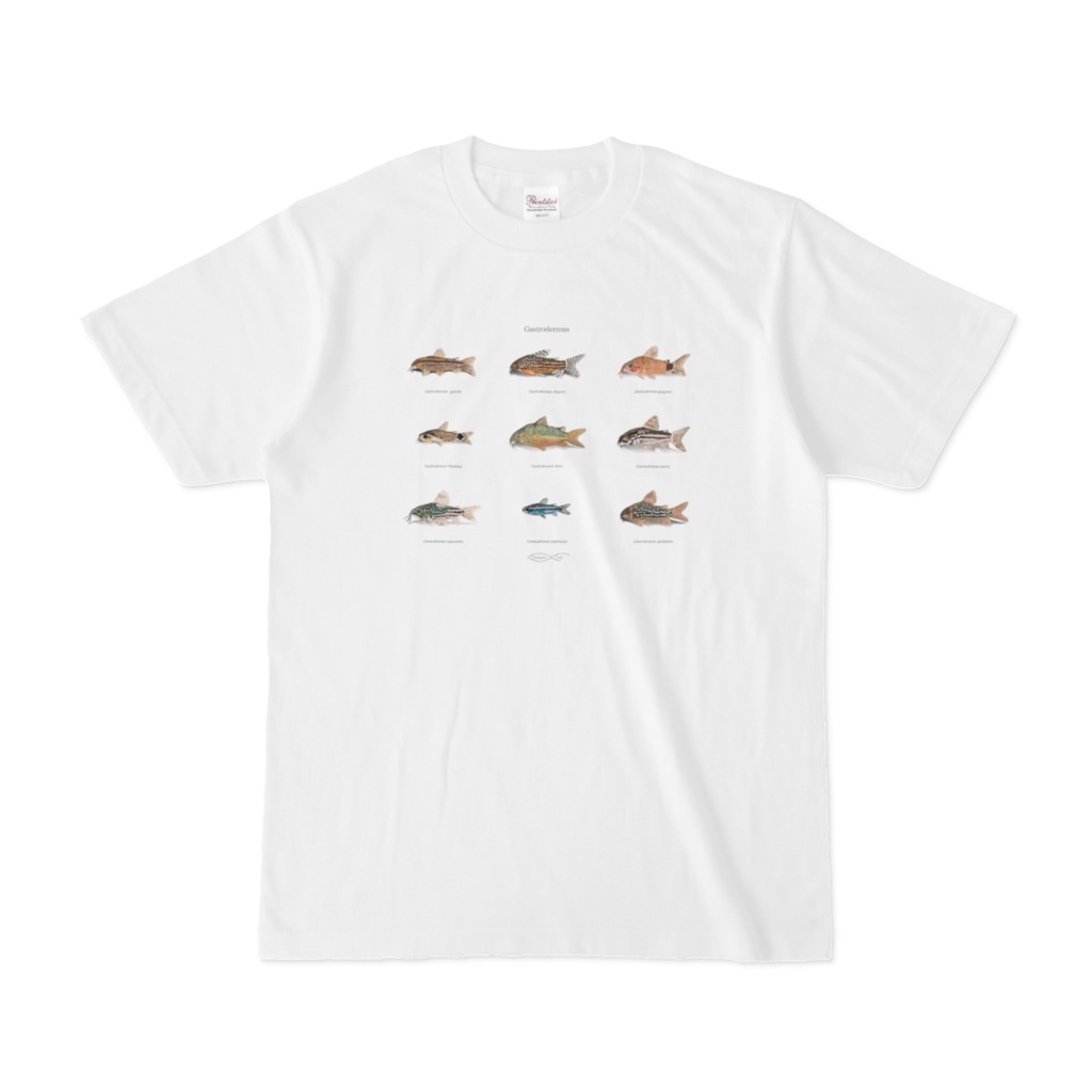 T-shirt Corydoradinae Gastrodermus