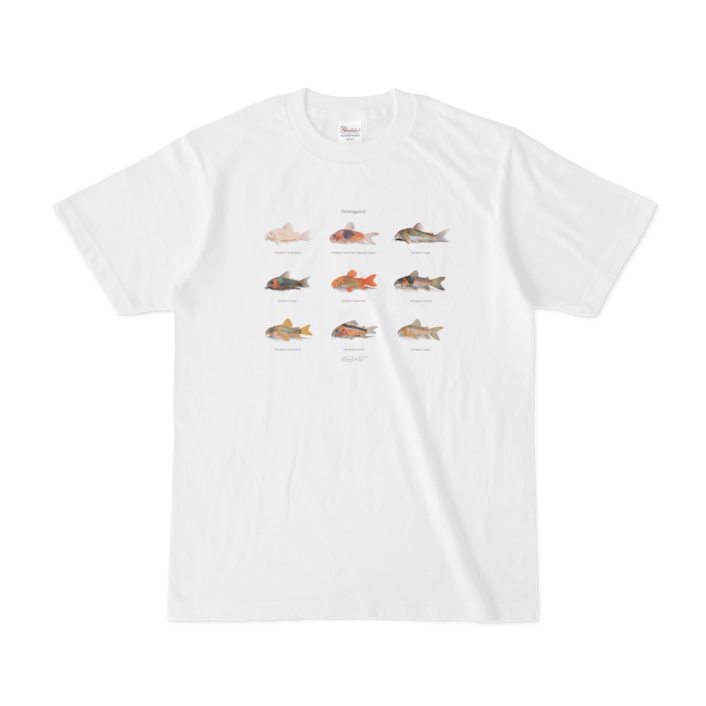 T-shirt Corydoradinae Osteogaster