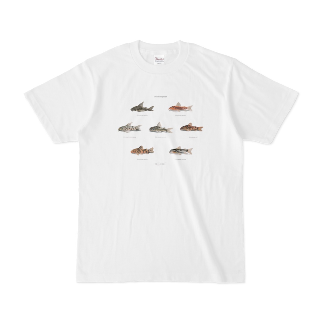 T-shirt Corydoradinae Scleromystax
