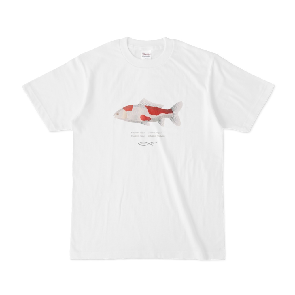 T-shirt Cyprinus Cyprinus carpio(Nishikigoi　Kouhaku) 