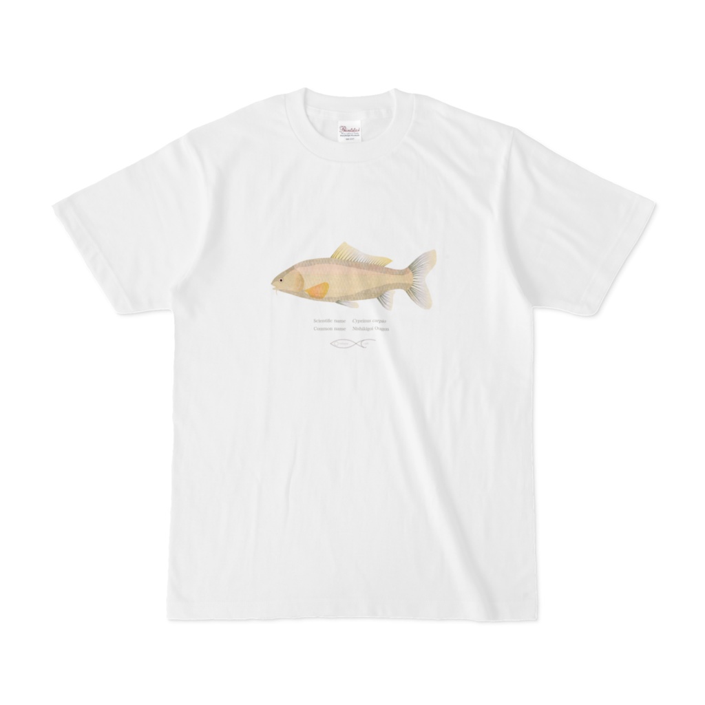 T-shirt Cyprinus Cyprinus carpio(Nishikigoi　Ougon) 