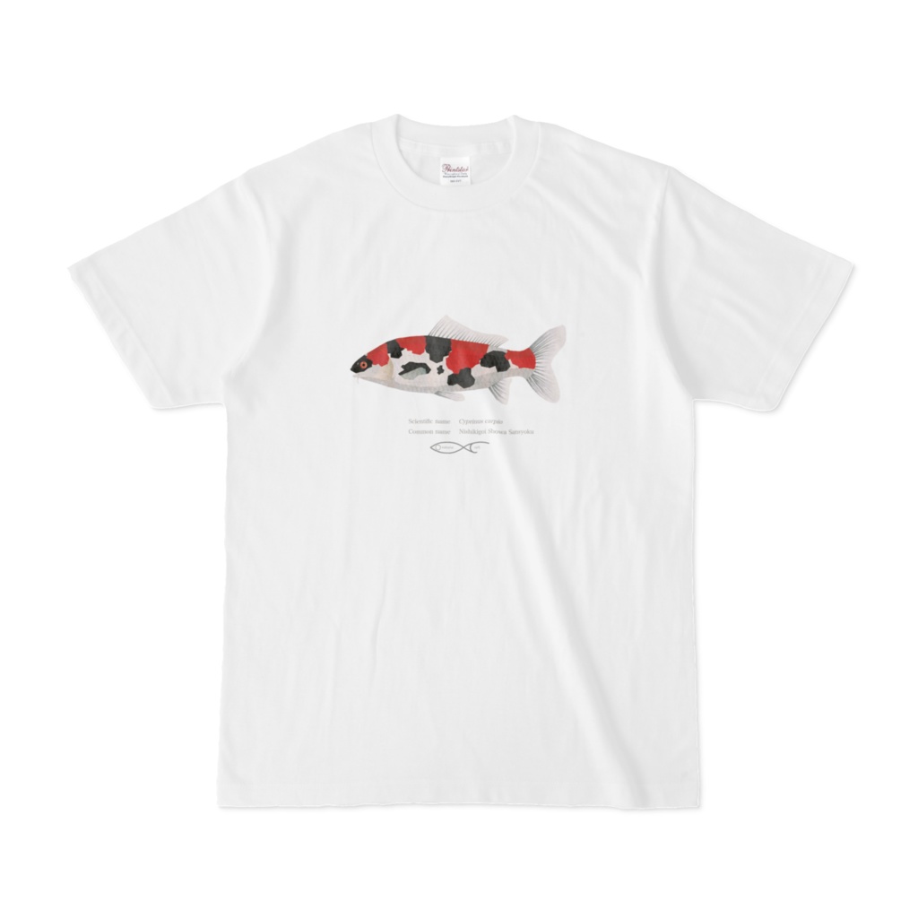 T-shirt Cyprinus Cyprinus carpio(Nishikigoi　Showa Sansyoku) 