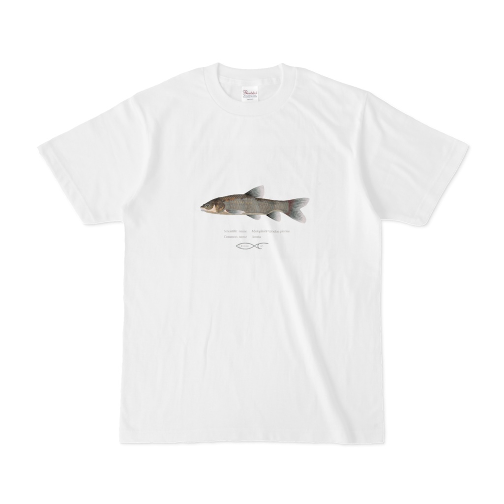 T-shirt Cyprinus Mylopharyngodon piceus(Aouto) 