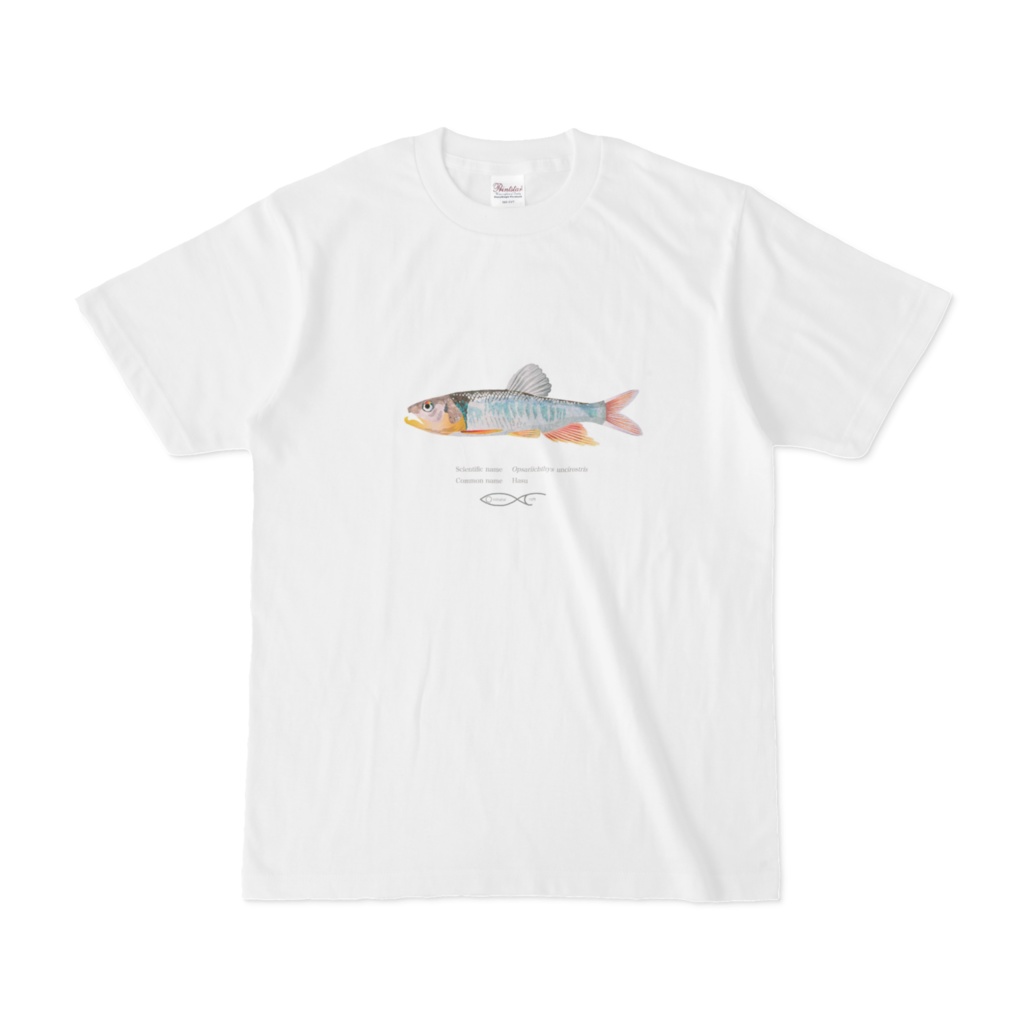 T-shirt Cyprinus Opsariichthys uncirostris(Hasu) 