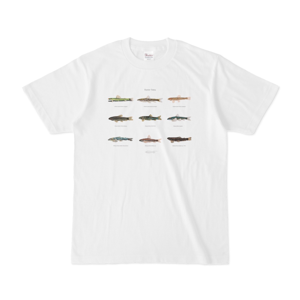 T-shirt Darter Tetra