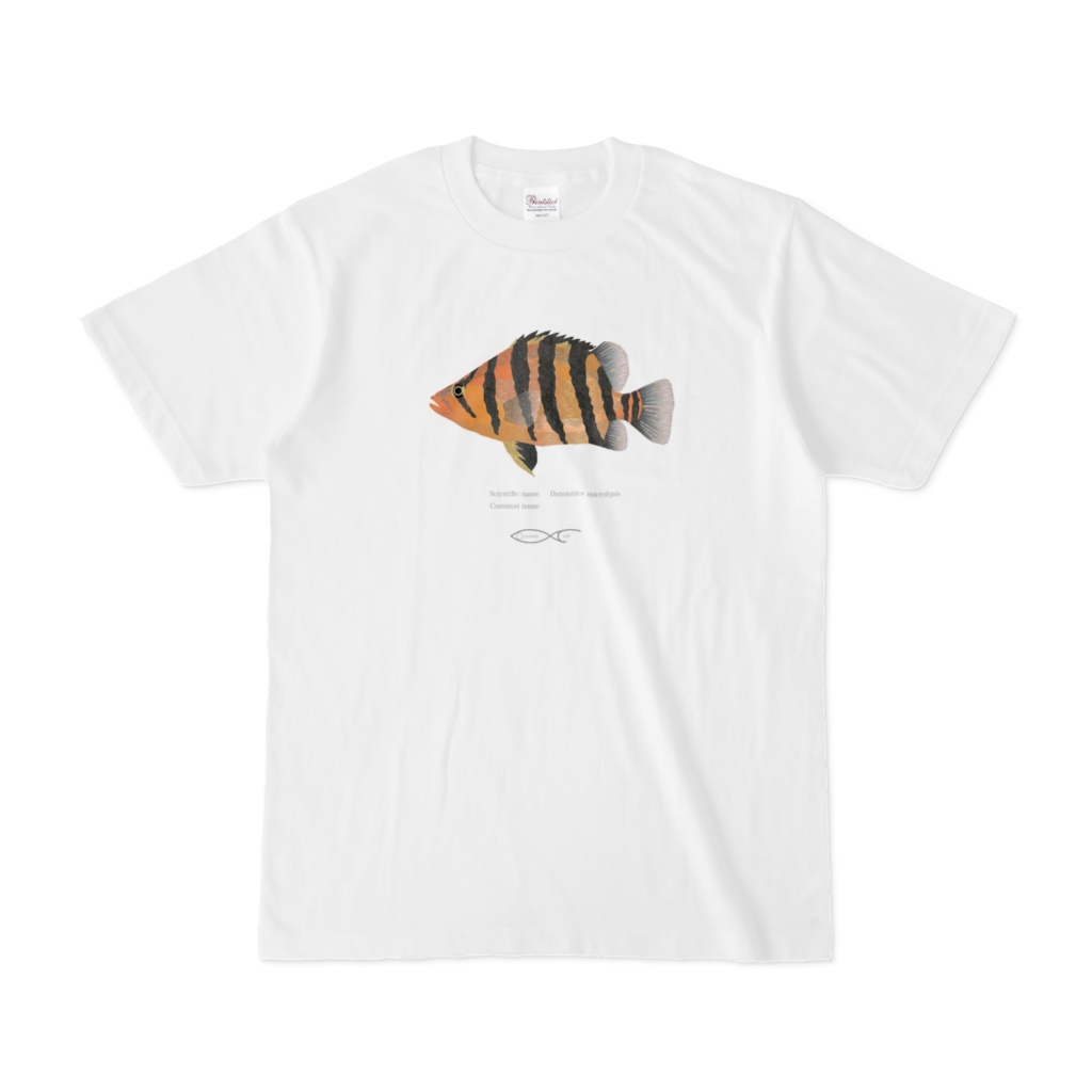 T-shirt Datnioides Datnioides microlepis