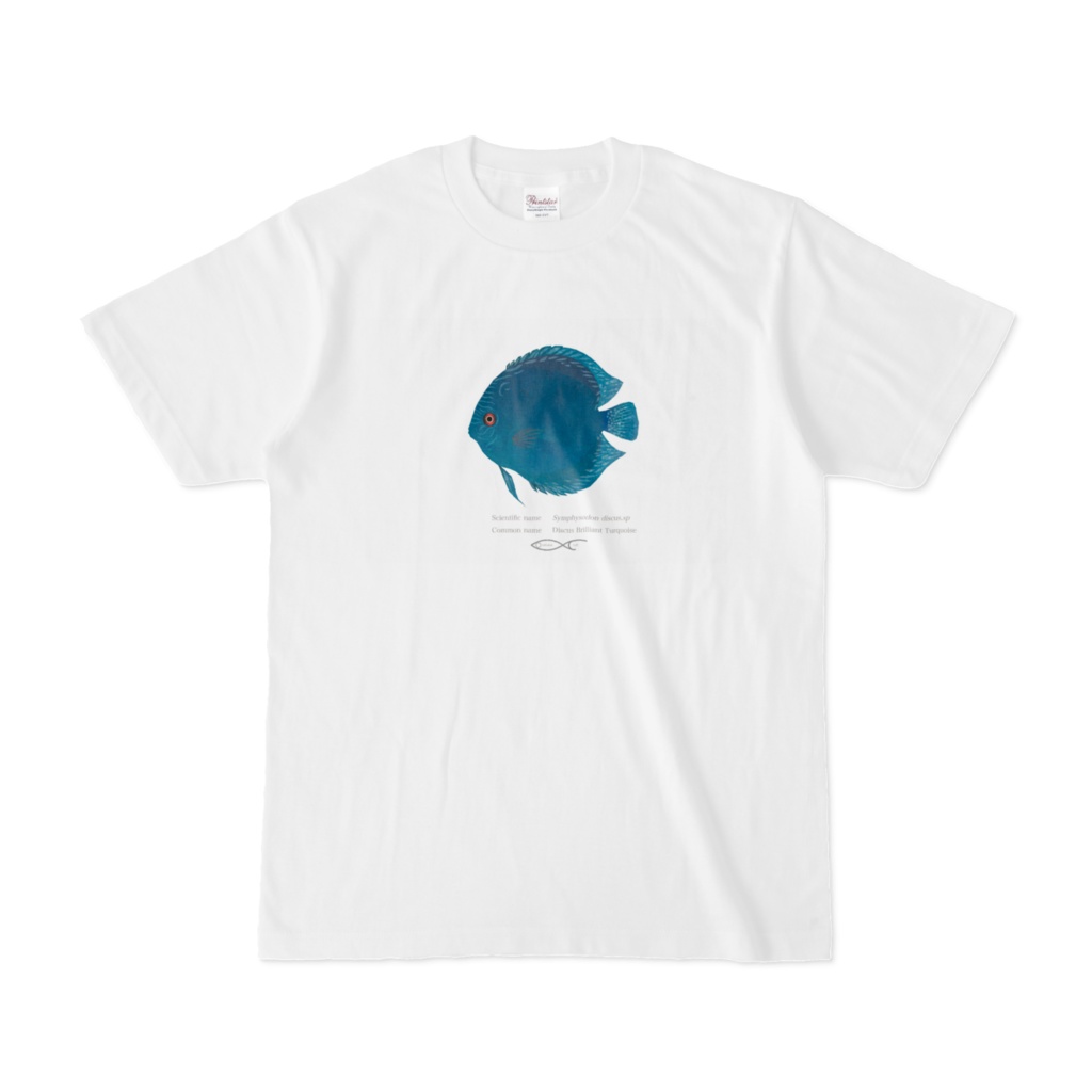 T-shirt Discus Discus Brilliant Turquoise