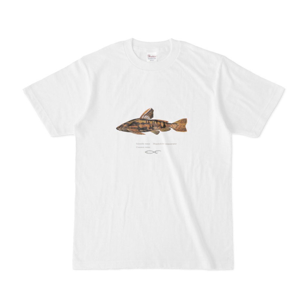 T-shirt Doras Megalodoras uranoscopus