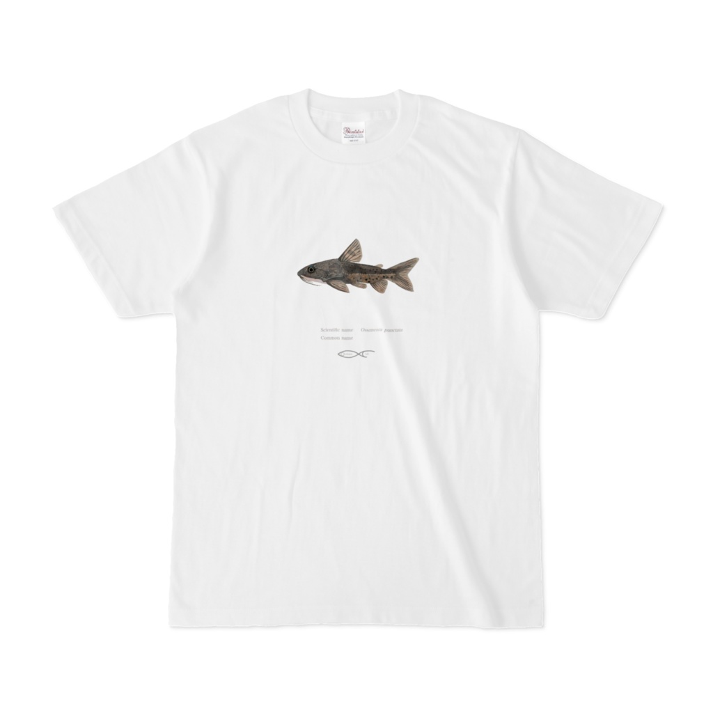 T-shirt Doras Ossancora punctata