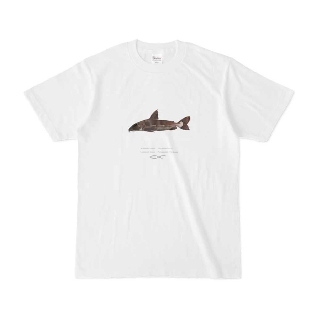 T-shirt Doras Oxydoras kneri(Paraguaian Oxydoras) 