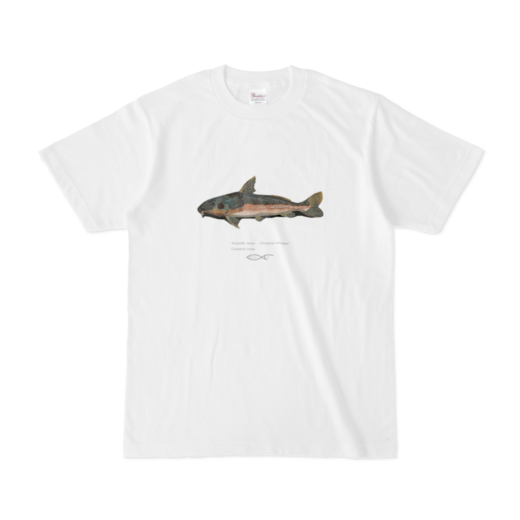 T-shirt Doras Oxydoras sifontesi