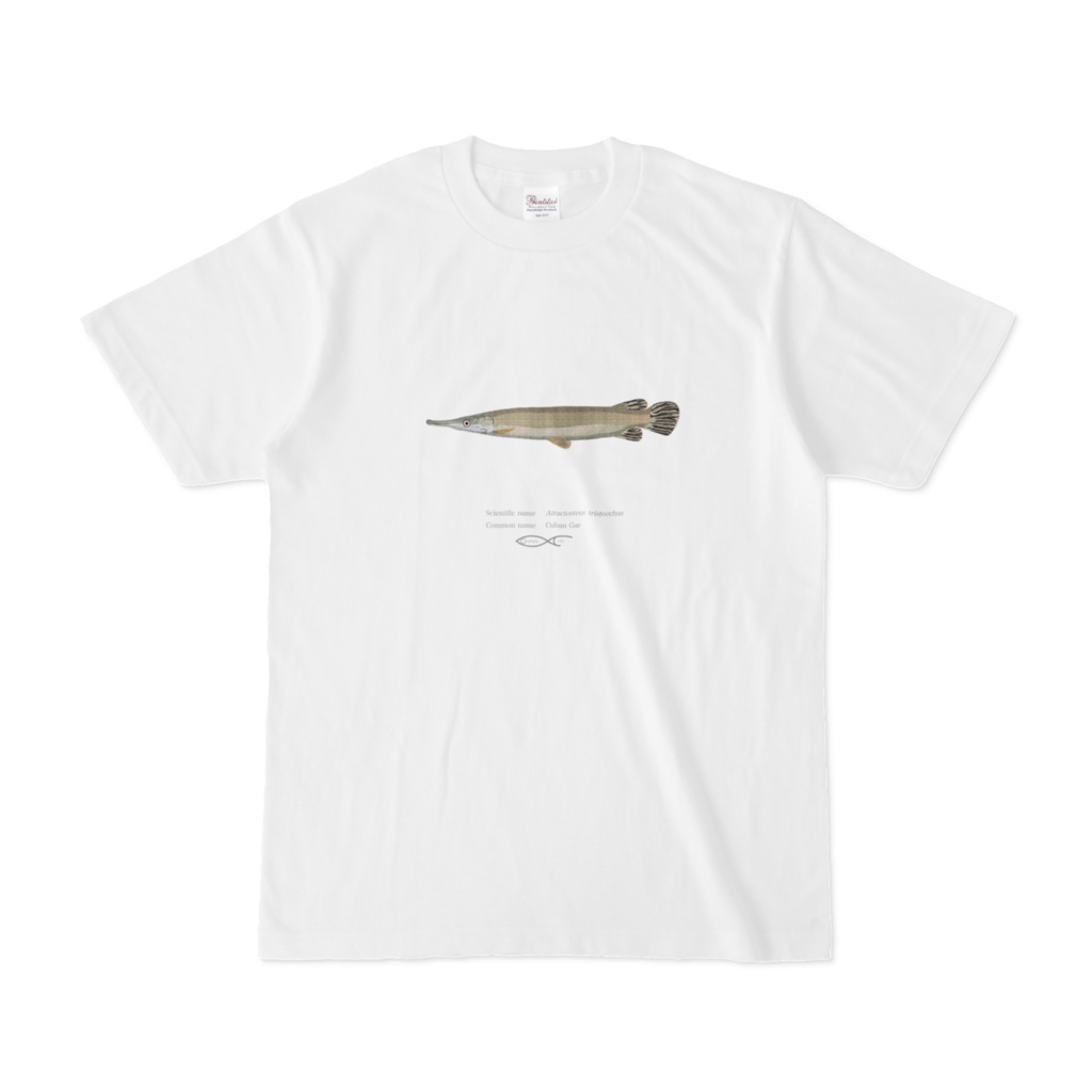 Atractosteus tristoechus（Cuban Gar)  T-shirt