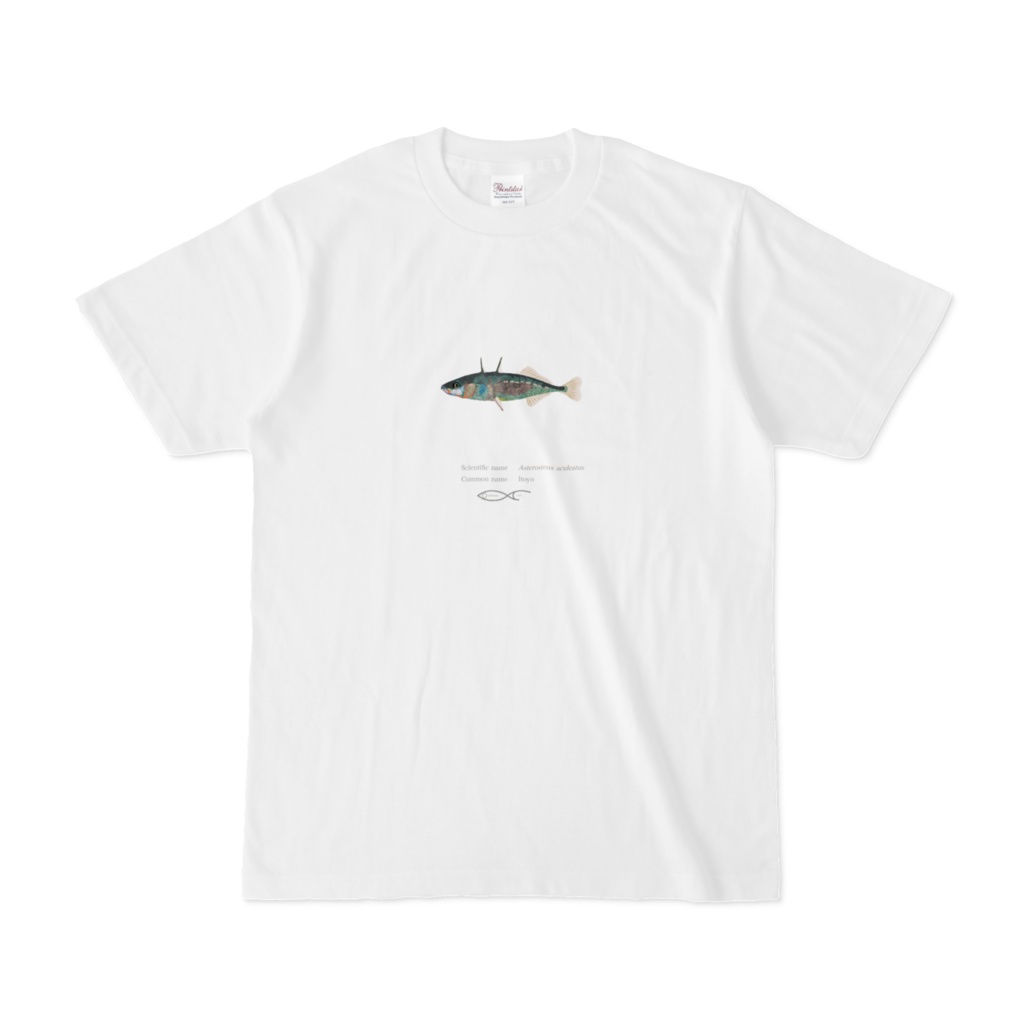 Asterosteus aculeatus(Itoyo) T-shirt