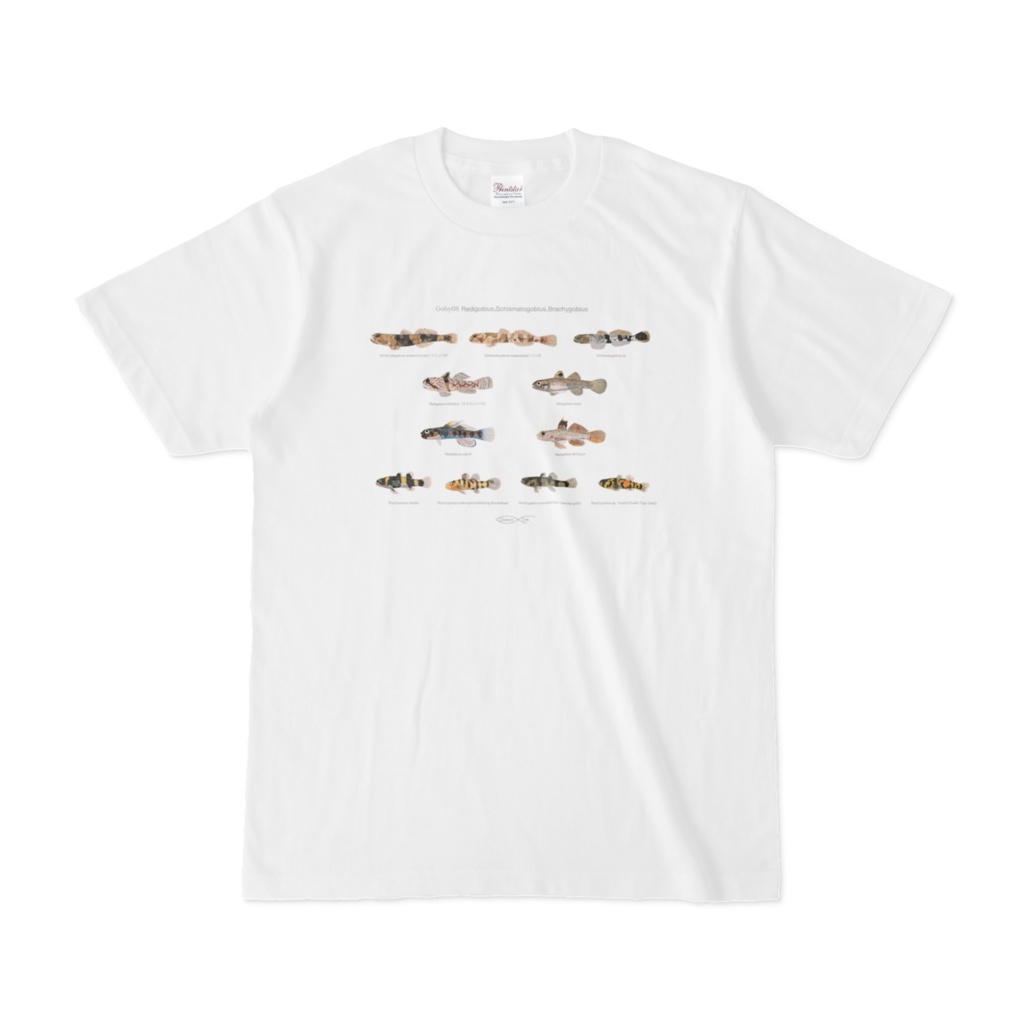 Goby08 Redigobius,Schismatogobius,Brachygobius  T-shirt