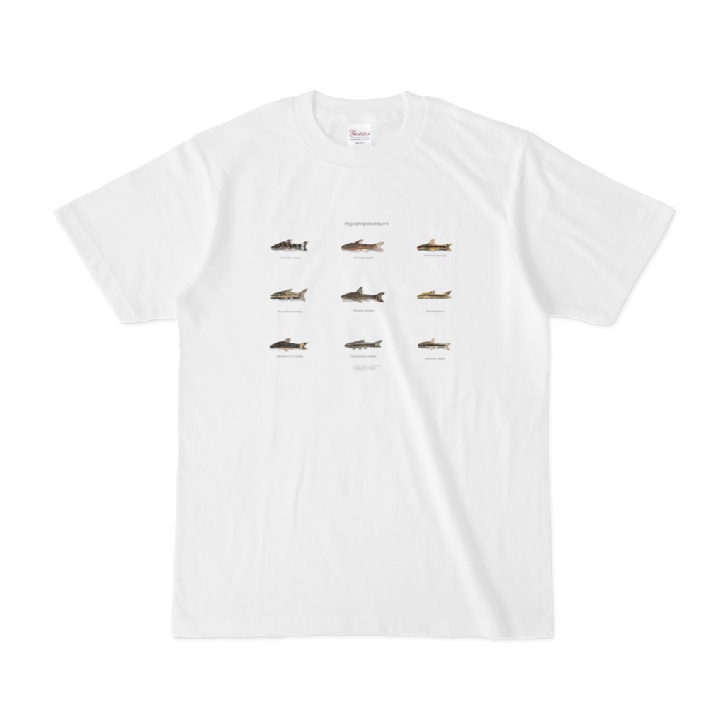 Osakanacraft T-shirt Hypoptopomatinae 4