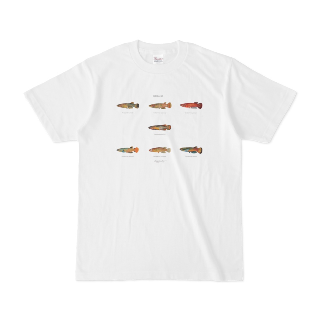 Osakanacraft T-shirt Killifish 06 Pachypanchax
