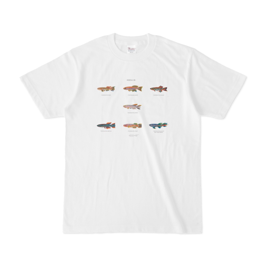 Osakanacraft T-shirt Killifish 08 Fundulopanchax