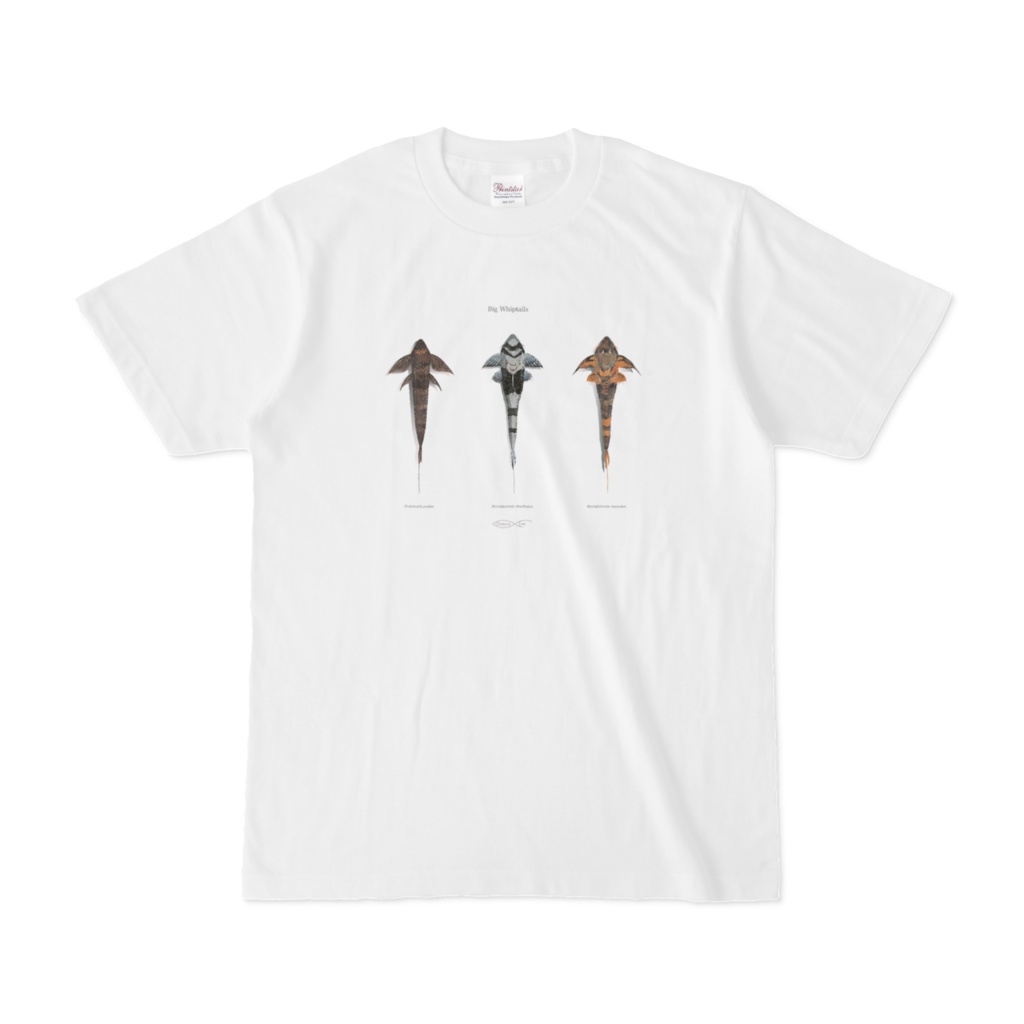 Osakanacraft T-shirt Loricariinae Big Whiptails