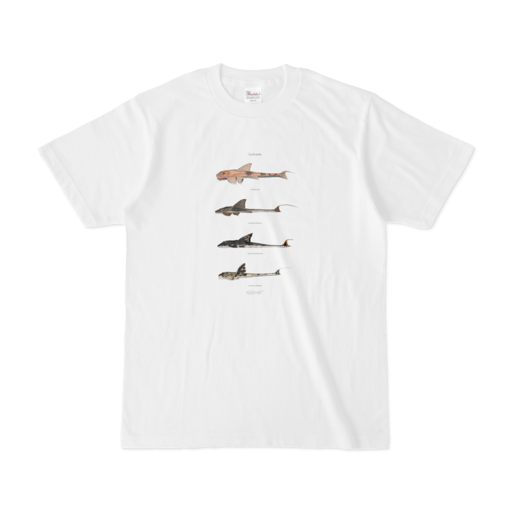 Osakanacraft T-shirt Loricariinae Loricaria