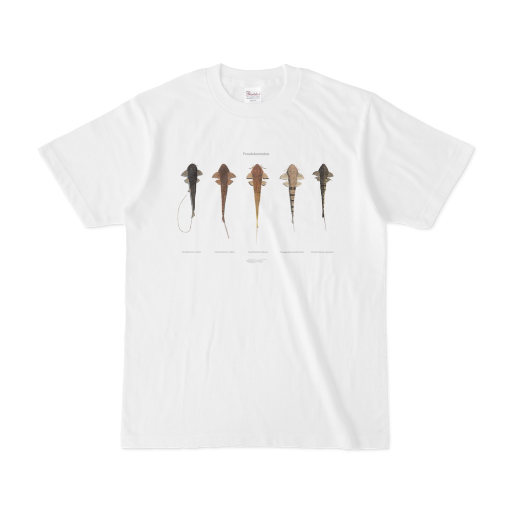 Osakanacraft T-shirt Loricariinae Pseudohemiodon