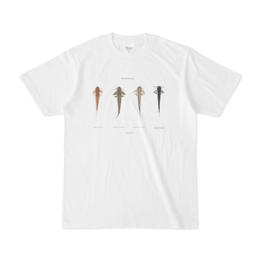 Osakanacraft T-shirt Loricariinae Rhadinoloricaria