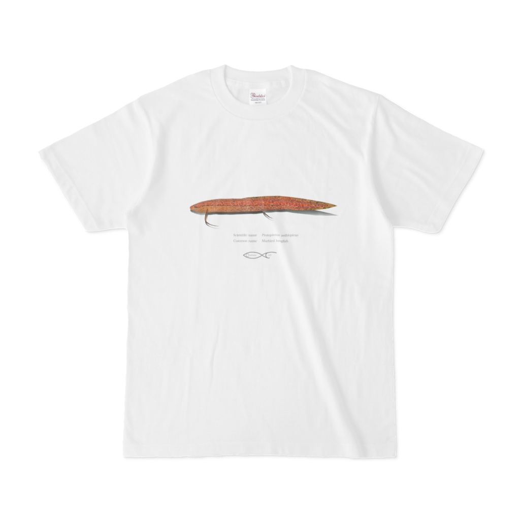 Osakanacraft T-shirt Lungfish Protopterus aethiopicus(Marbled lungfish)