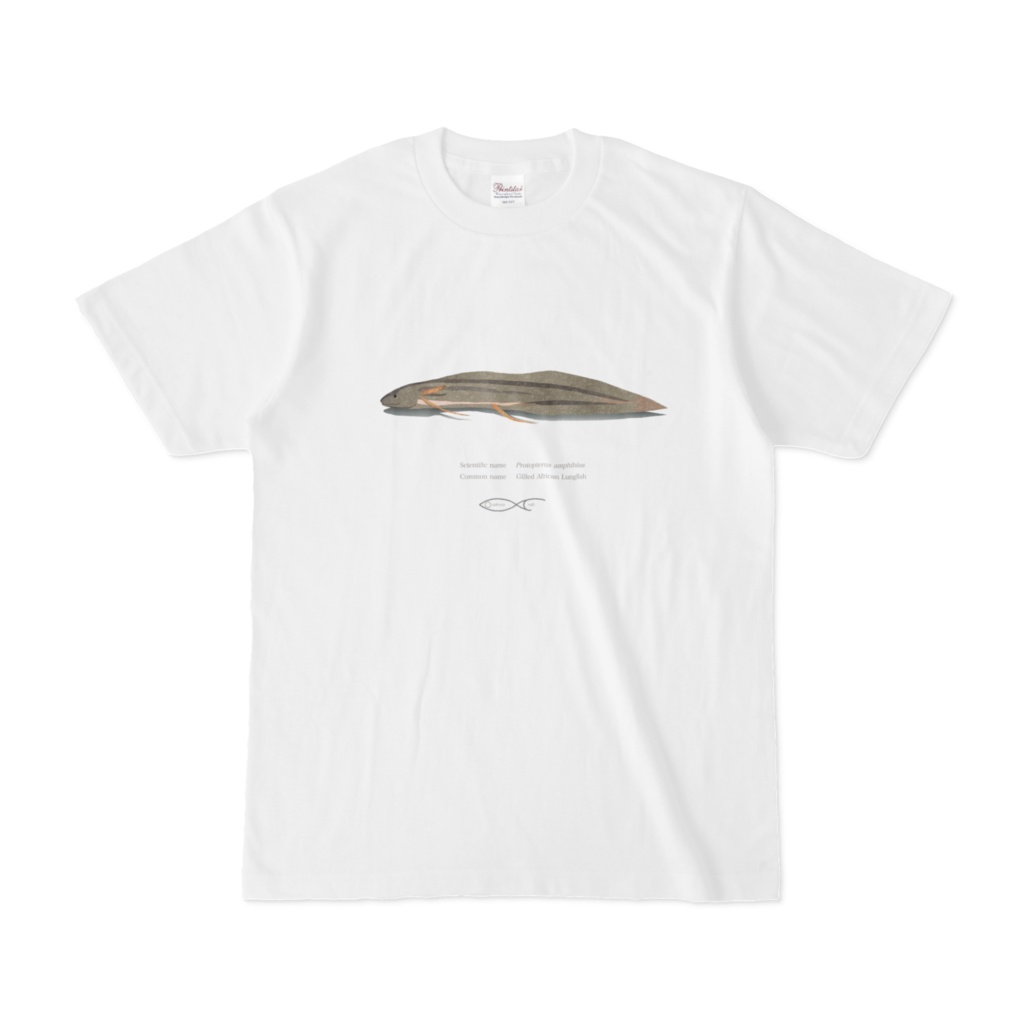 Osakanacraft T-shirt Lungfish Protopterus amphibius(Gilled African Lungfish)