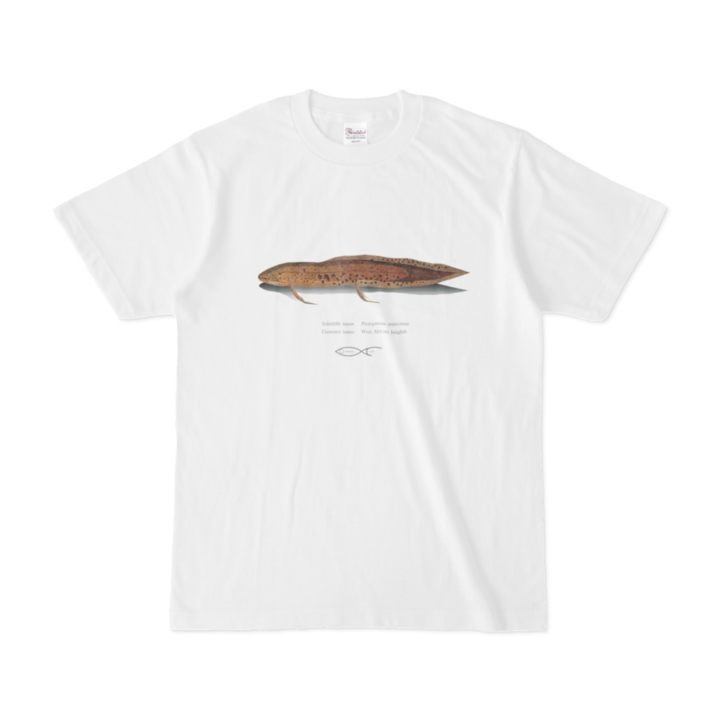 Osakanacraft T-shirt Lungfish Protopterus annectens(West African lungfish)