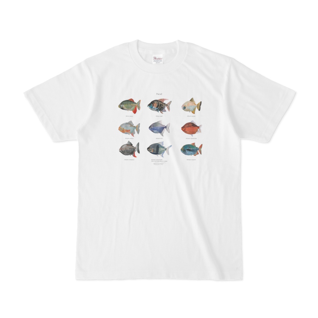 Osakanacraft T-shirt Pacu2 (Myleus,Myloplus)