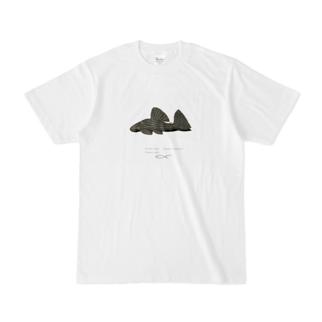 Osakanacrfat T-shirt Panaque armbrusteri(L027, Tapajos Royal Pleco)