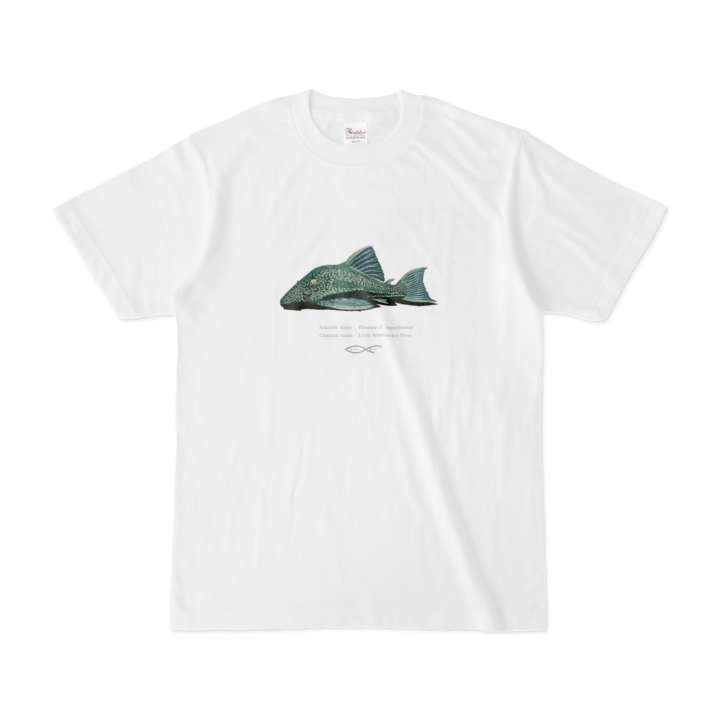 Osakanacraft T-shirt Panaque cf. nigrolineatus（L330, Watermelon Pleco）