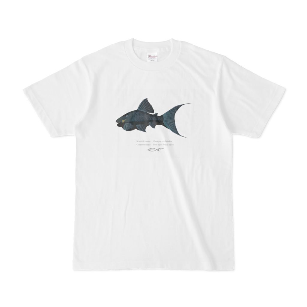 Osakanacraft T-shirt Panaque cochliodon(Blue Eyed Royal Pleco)
