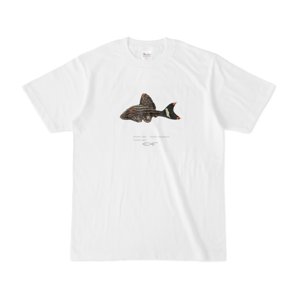 Osakanacraft T-shirt Panaque nigrolineatus(L190, Royal Pleco)
