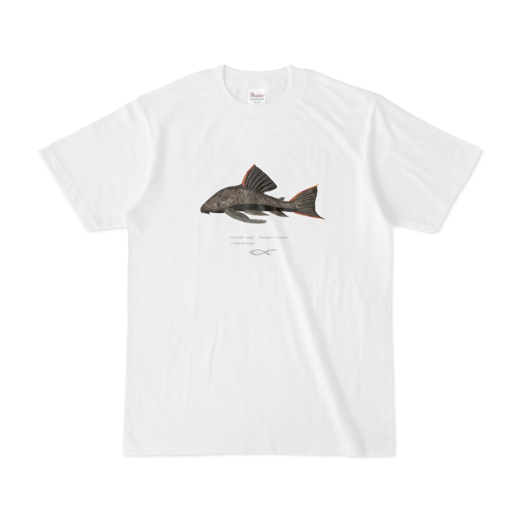 Osakanacraft T-shirt Panaque schaeferi